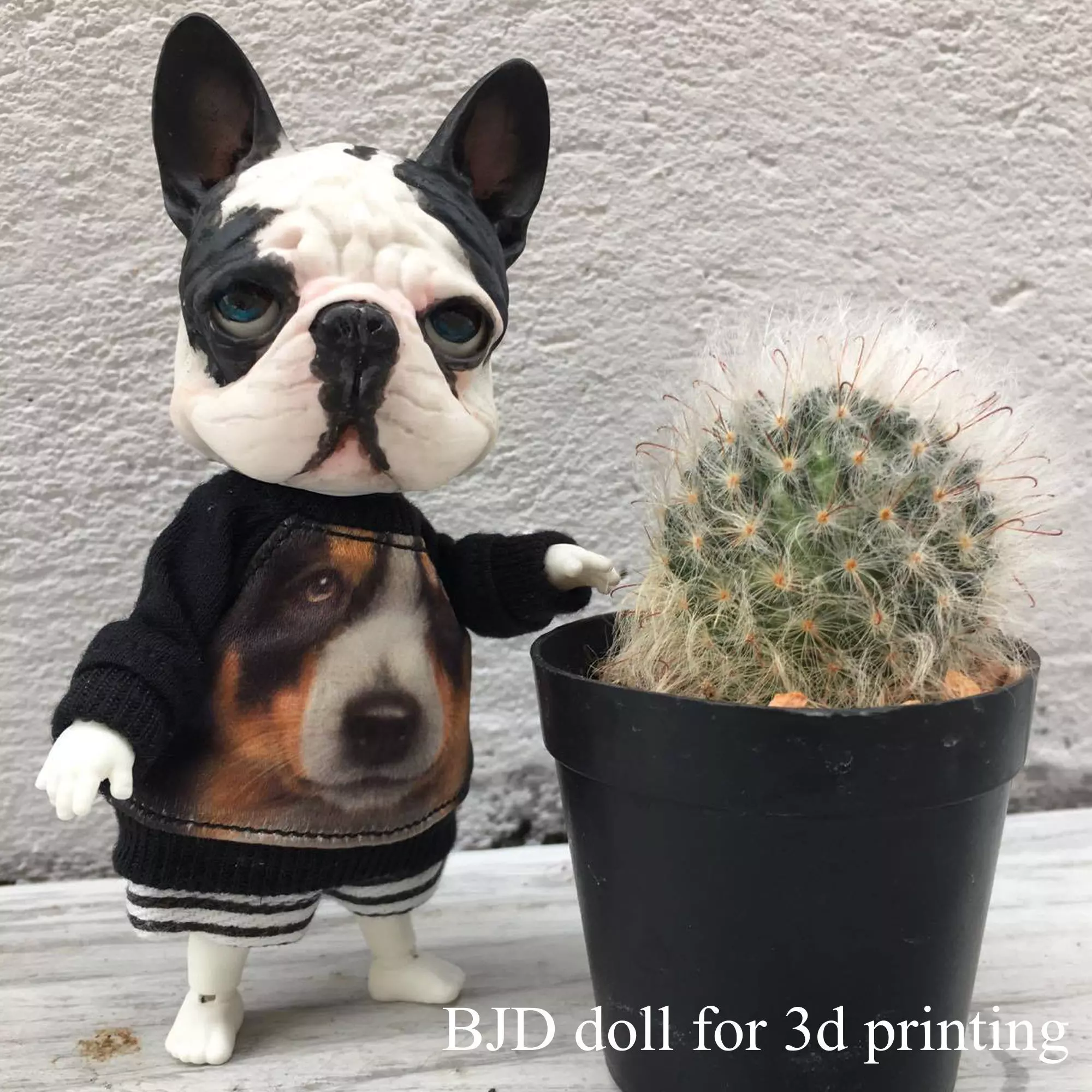 BJD doll for 3d printing is french bulldog 3D print model_0