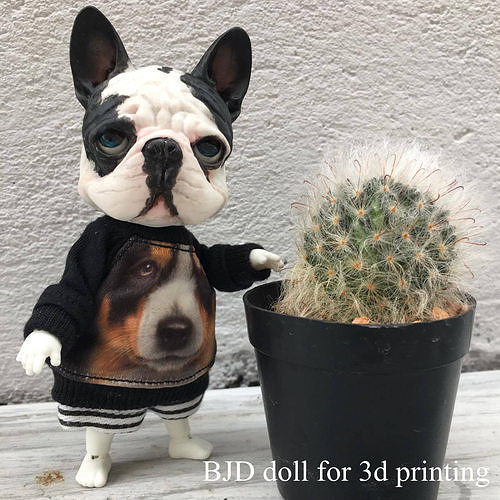 BJD doll for 3d printing is french bulldog 3D print model