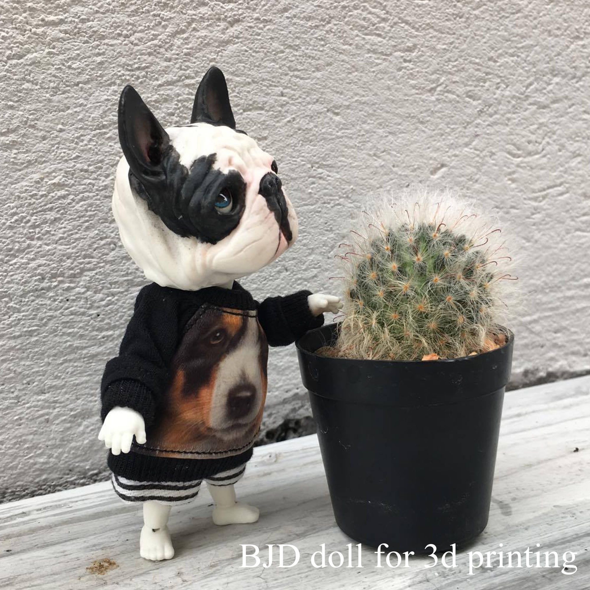 BJD doll for 3d printing is french bulldog 3D print model_2