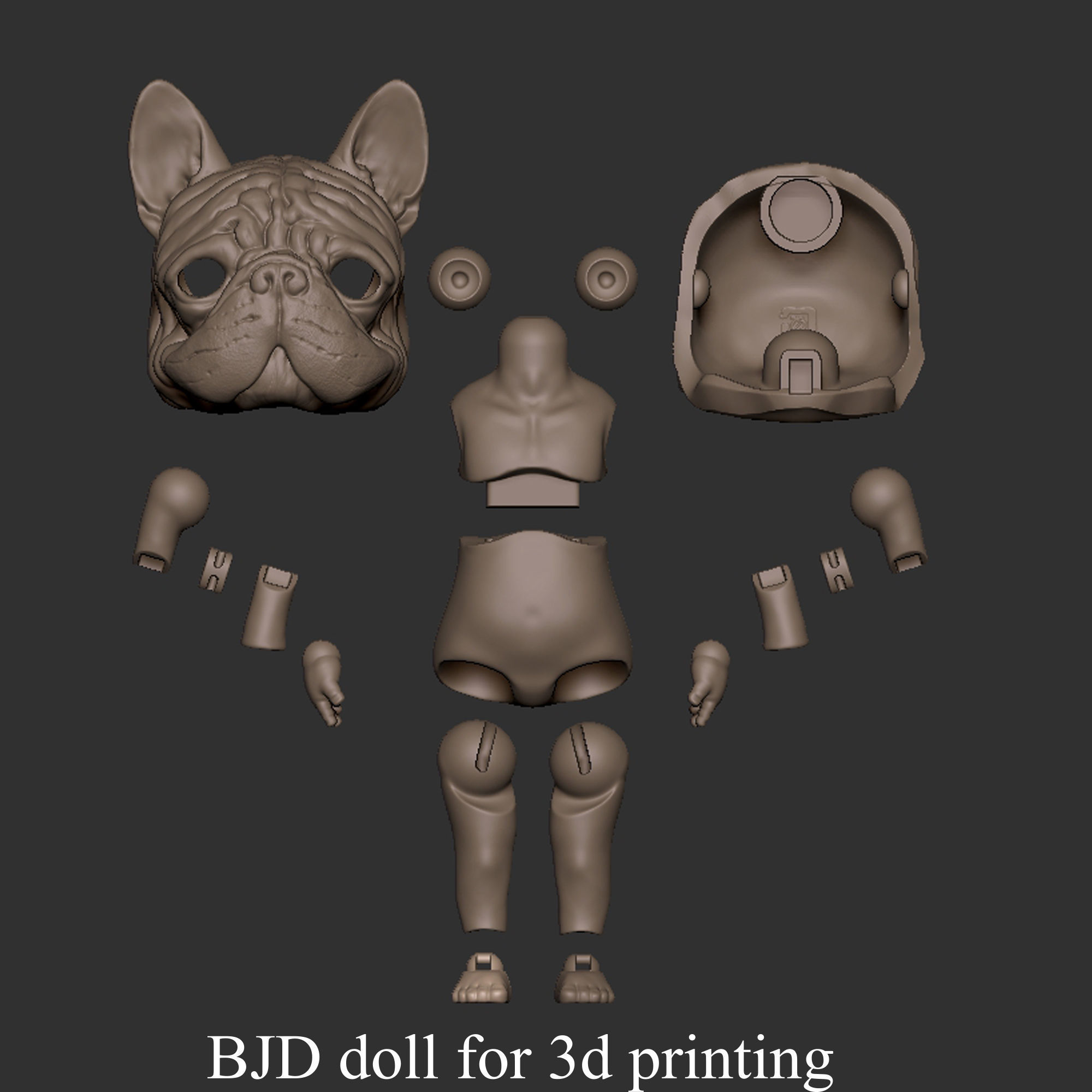 BJD doll for 3d printing is french bulldog 3D print model_7