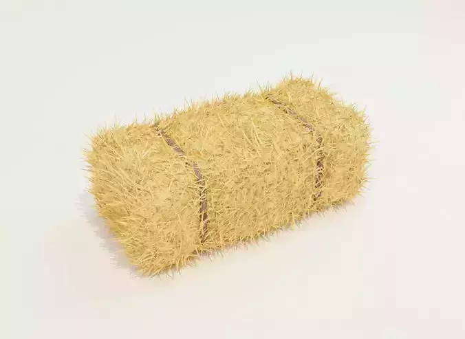 Hay Bale Square 3D Model 3D model