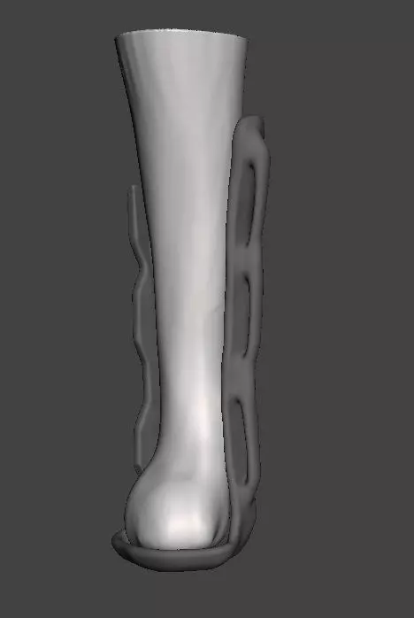 Cat left frontleg orthosis 3D model_0