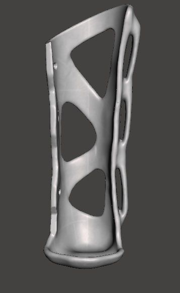 Cat left frontleg orthosis 3D model_1