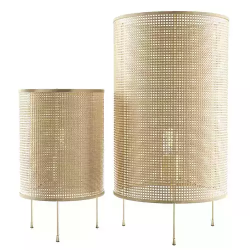 Zarahome rattan lamp 3D model