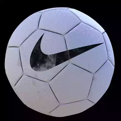 Ball Nike Free 3D model