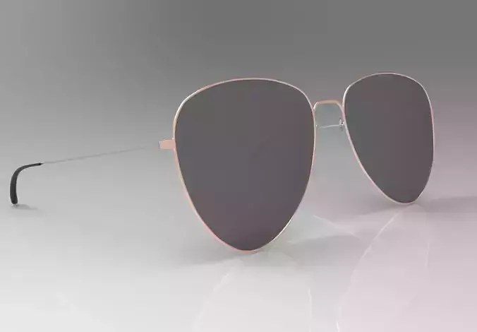 RayBan Sunglasses