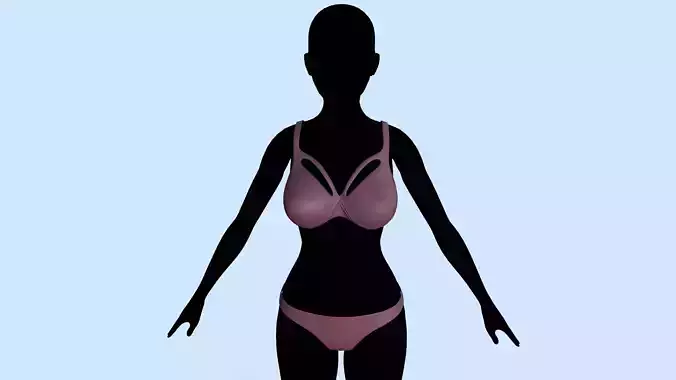 Lingerie silhouette of woman in bikini