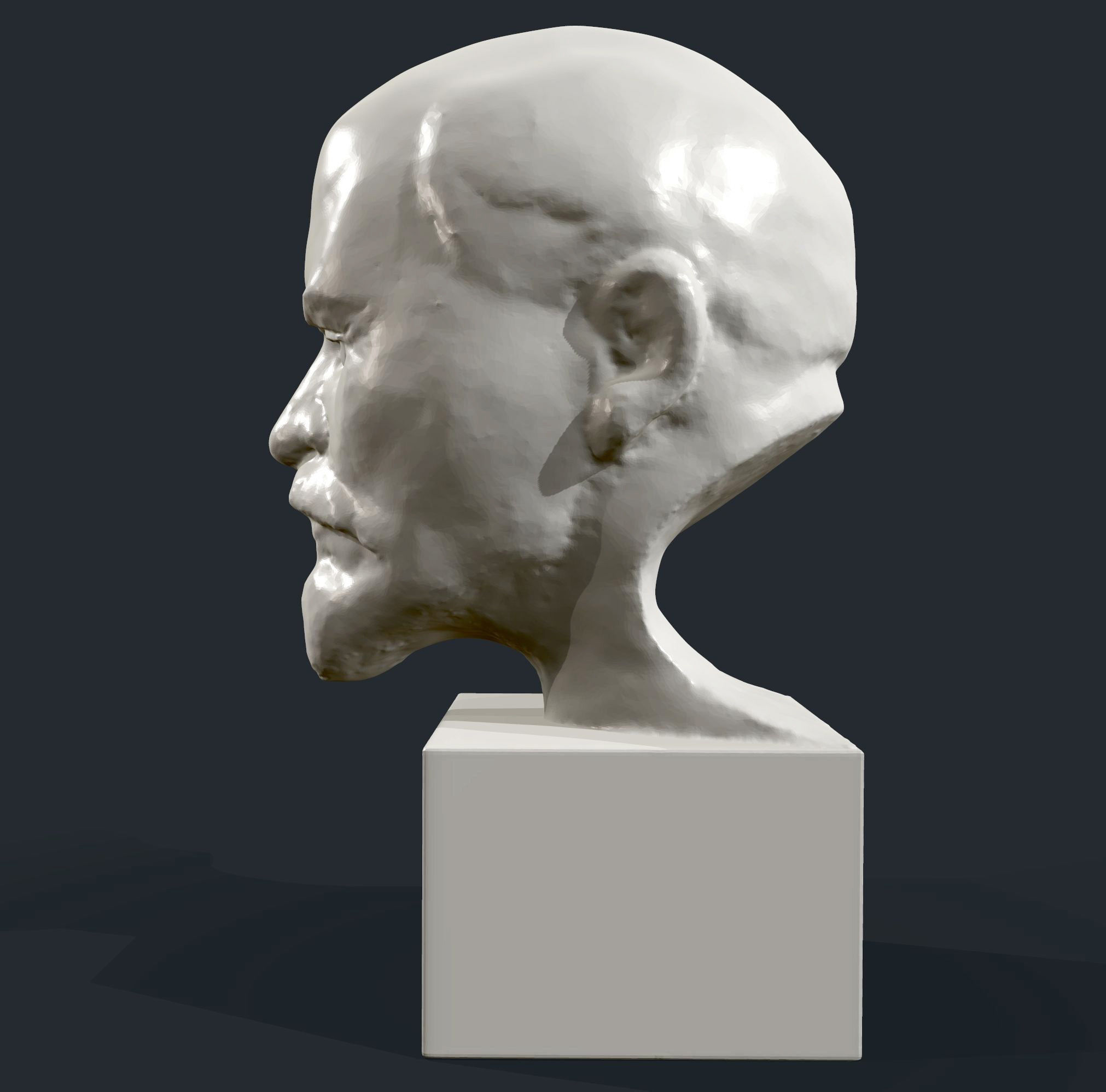 Lenin bust of 3D print model_3