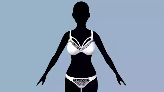 Lingerie 2 silhouette of woman in bikini