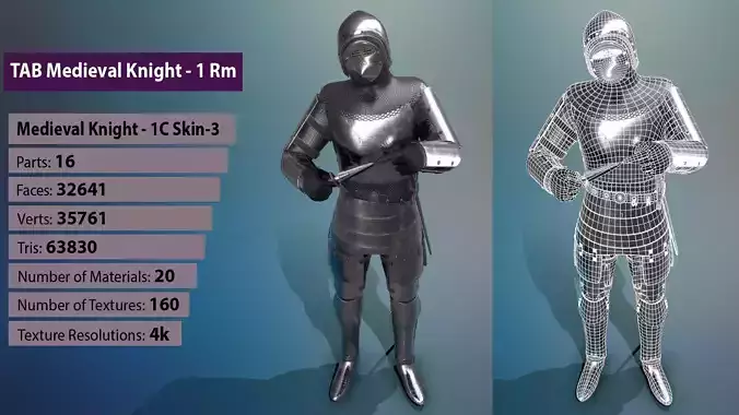 TAB Medieval Knight - 1Rm C - Skin3 Low-poly 3D model