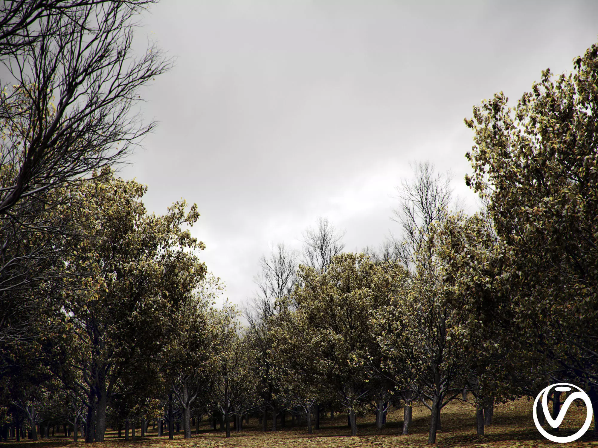 HeliosVegetation vol1 Autumn - leafless tree pack VRAY 3D model_0