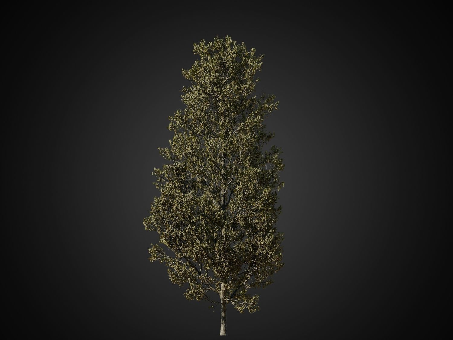 HeliosVegetation vol1 Autumn - leafless tree pack VRAY 3D model_17