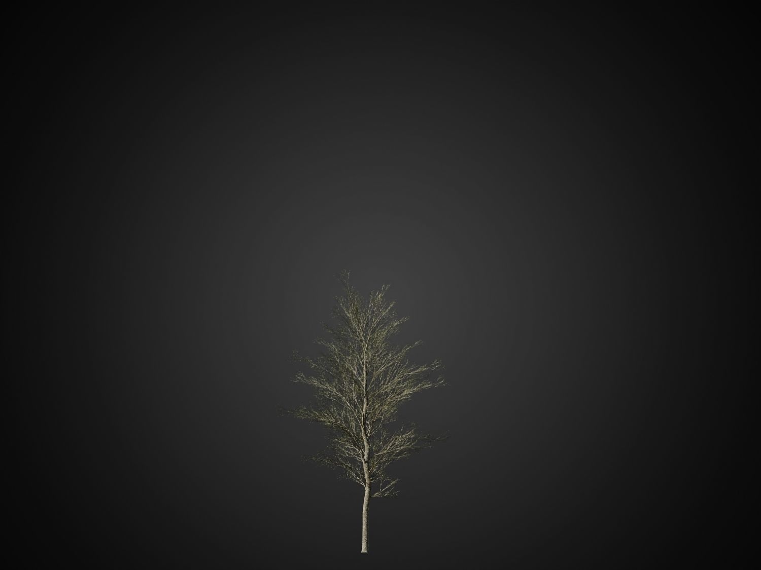 HeliosVegetation vol1 Autumn - leafless tree pack VRAY 3D model_16