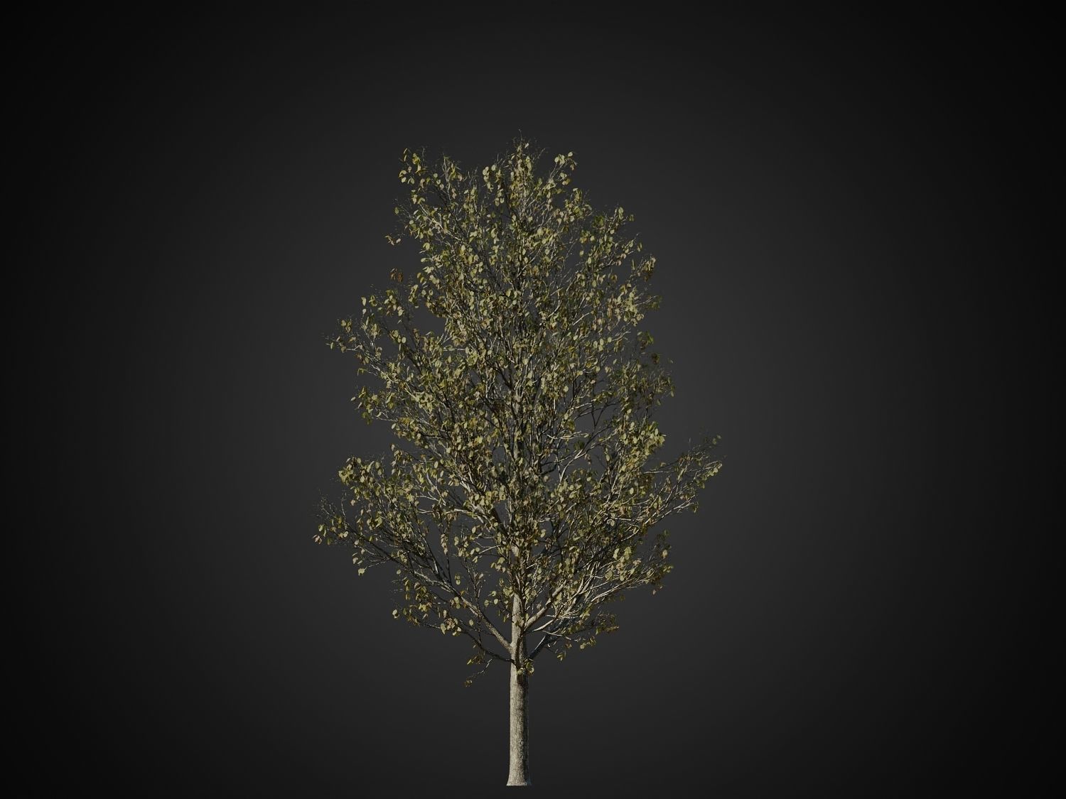 HeliosVegetation vol1 Autumn - leafless tree pack VRAY 3D model_26