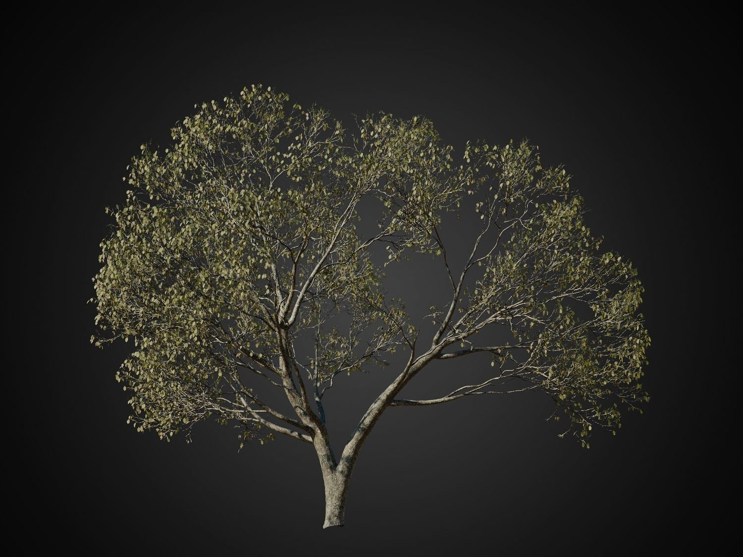 HeliosVegetation vol1 Autumn - leafless tree pack VRAY 3D model_2