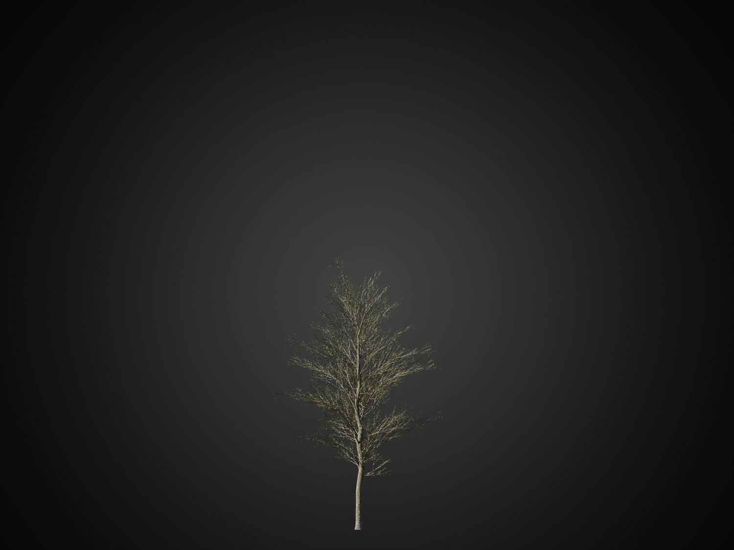 HeliosVegetation vol1 Autumn - leafless tree pack VRAY 3D model_15