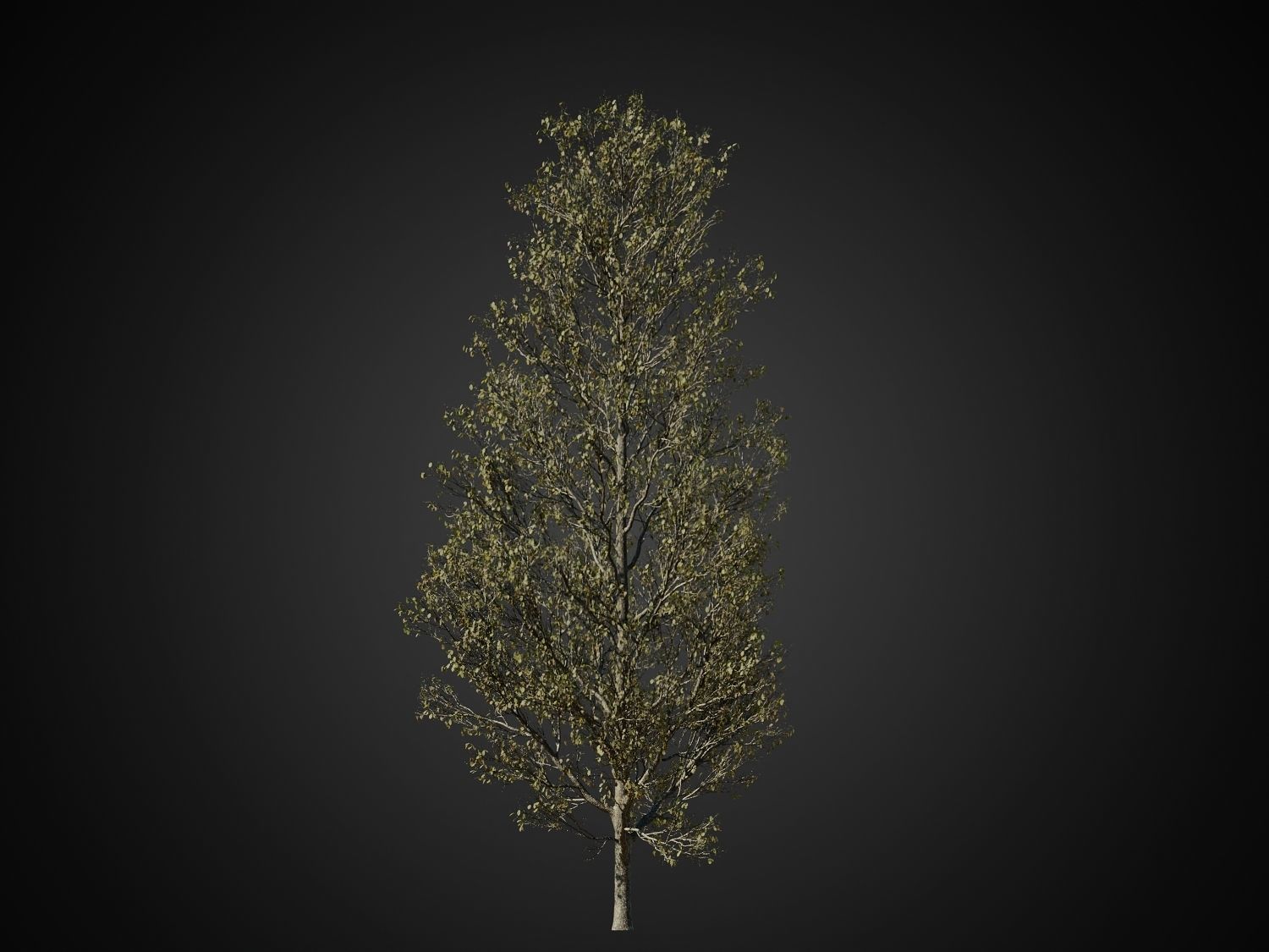 HeliosVegetation vol1 Autumn - leafless tree pack VRAY 3D model_18