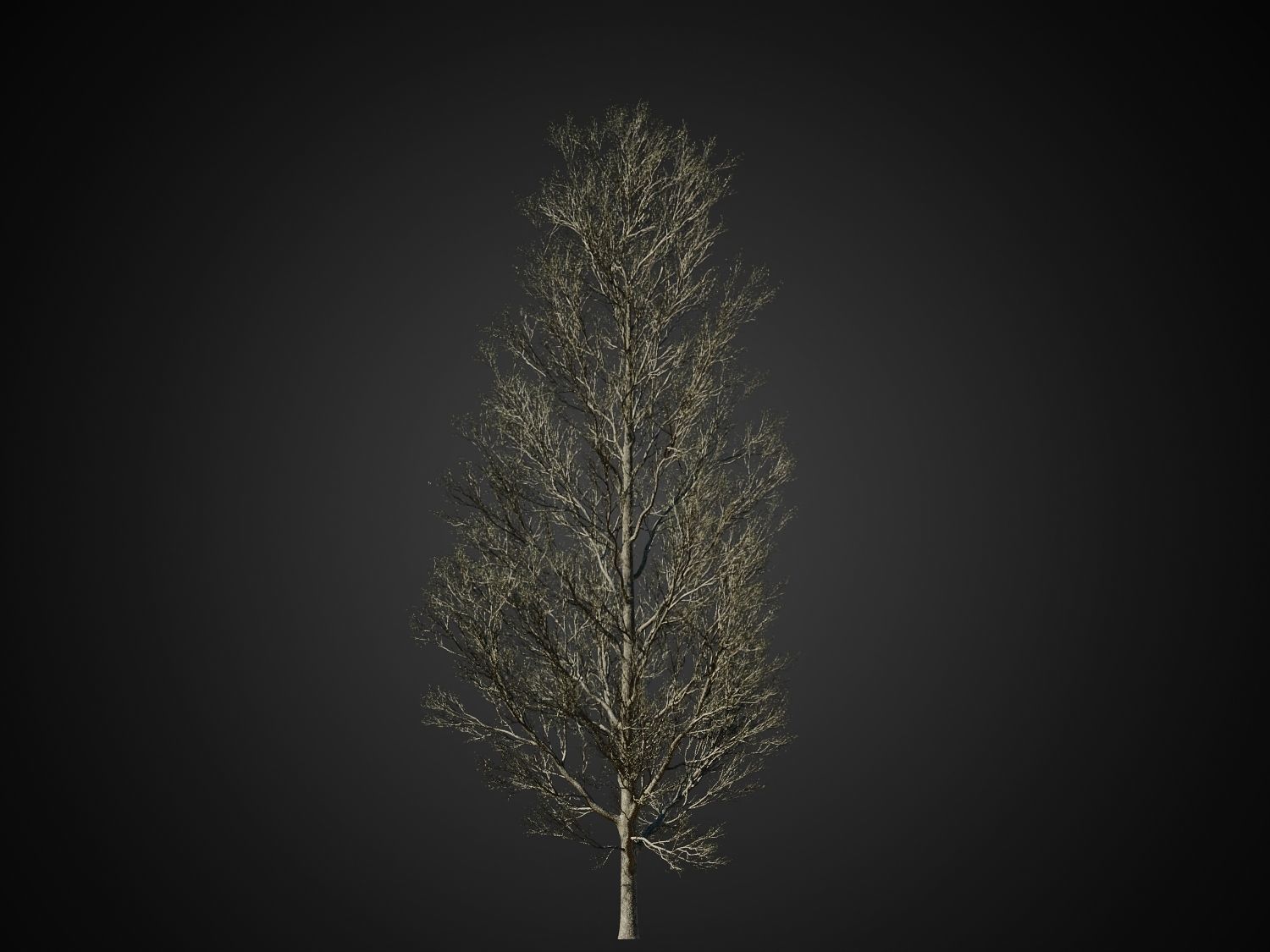 HeliosVegetation vol1 Autumn - leafless tree pack VRAY 3D model_20