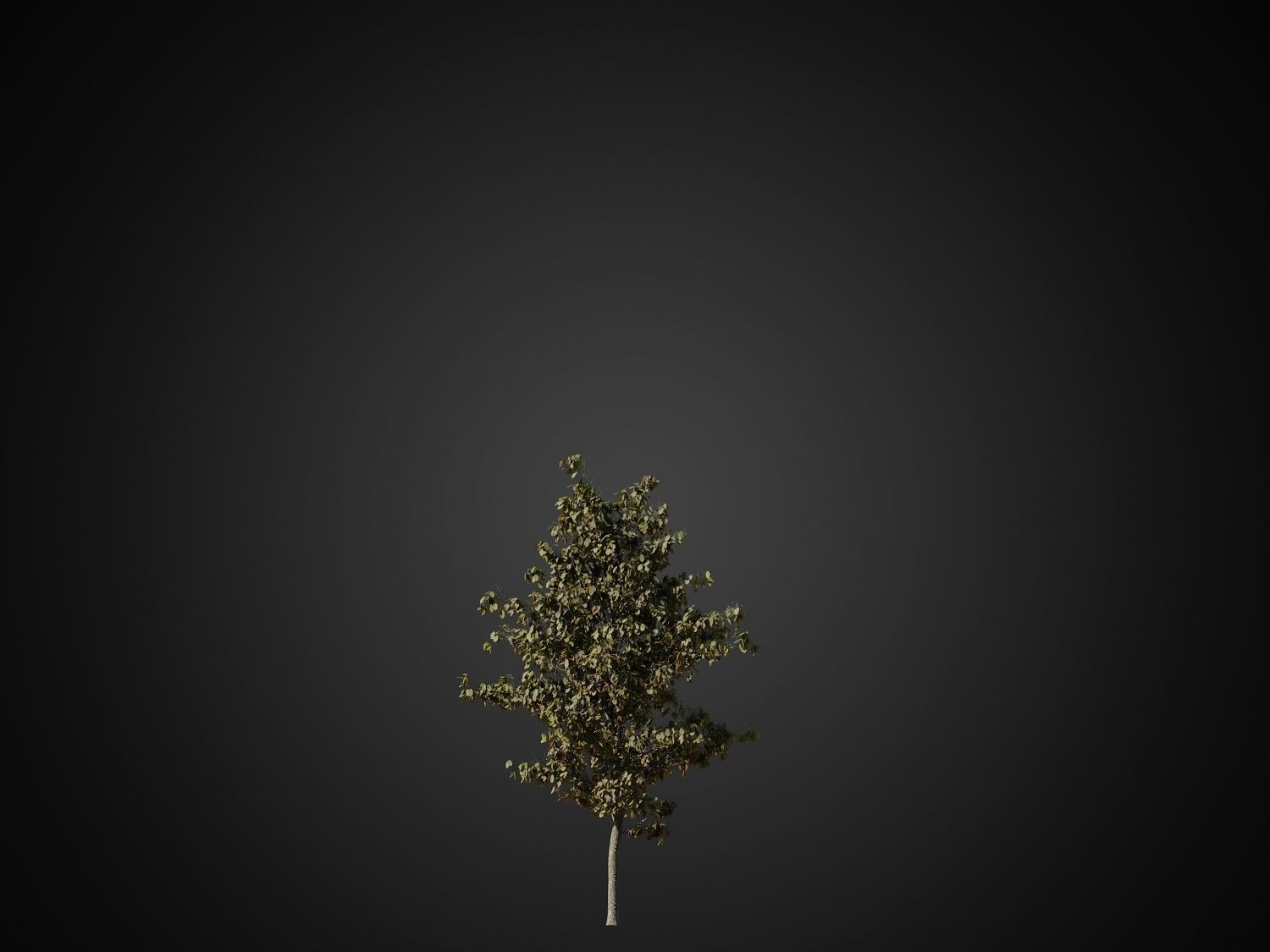 HeliosVegetation vol1 Autumn - leafless tree pack VRAY 3D model_13