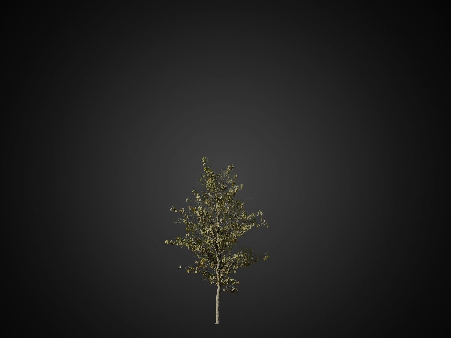 HeliosVegetation vol1 Autumn - leafless tree pack VRAY 3D model_14