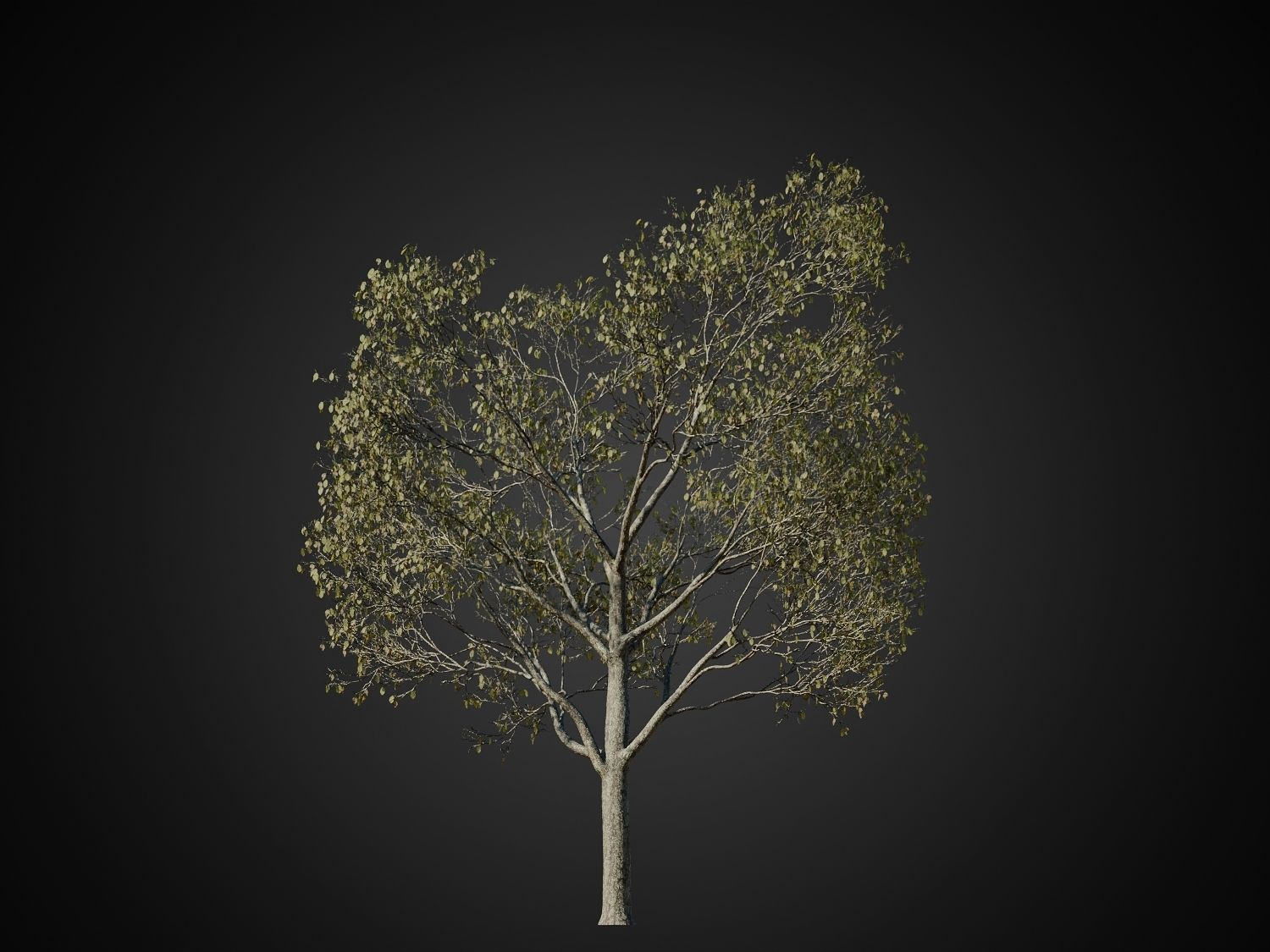 HeliosVegetation vol1 Autumn - leafless tree pack VRAY 3D model_6
