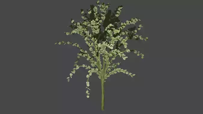 Pohon Jarak 3D model