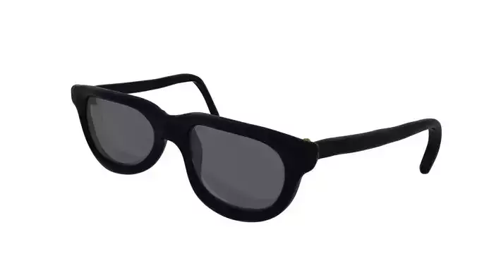 Eyeglasses normal popular frame style