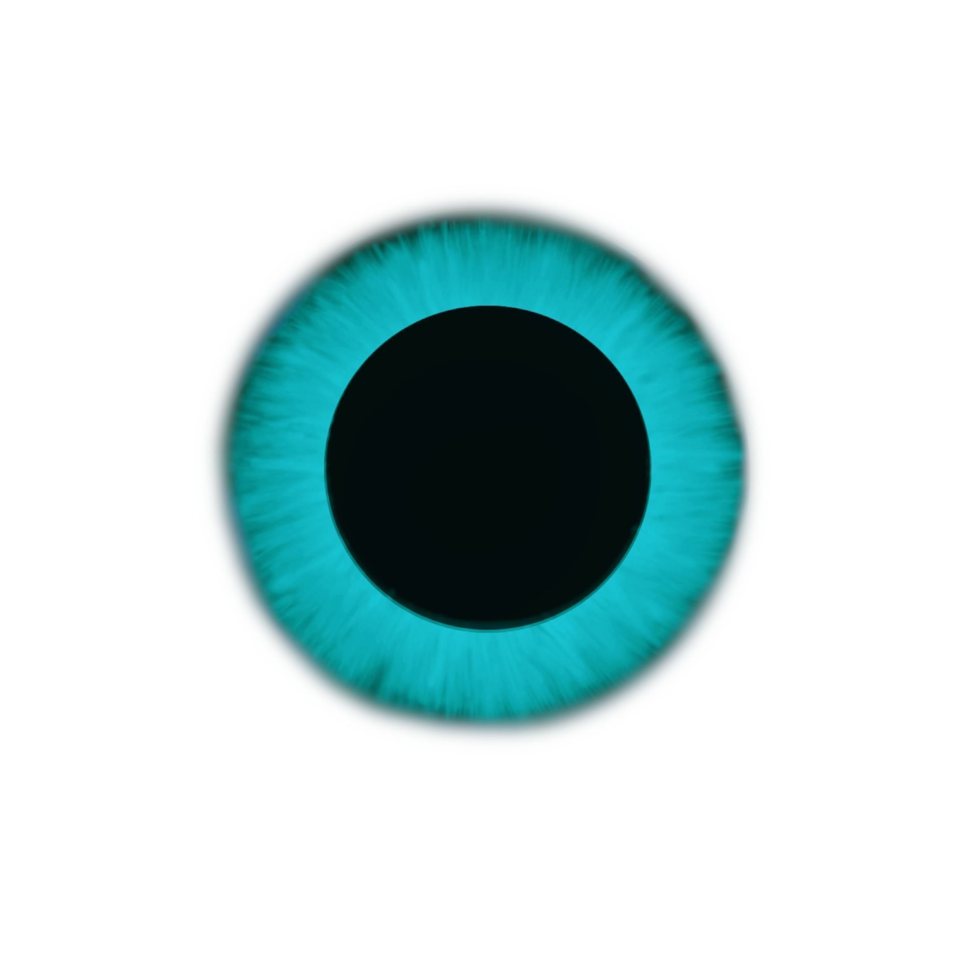 Cynder the Dragoness Model Low-poly 3D model_21