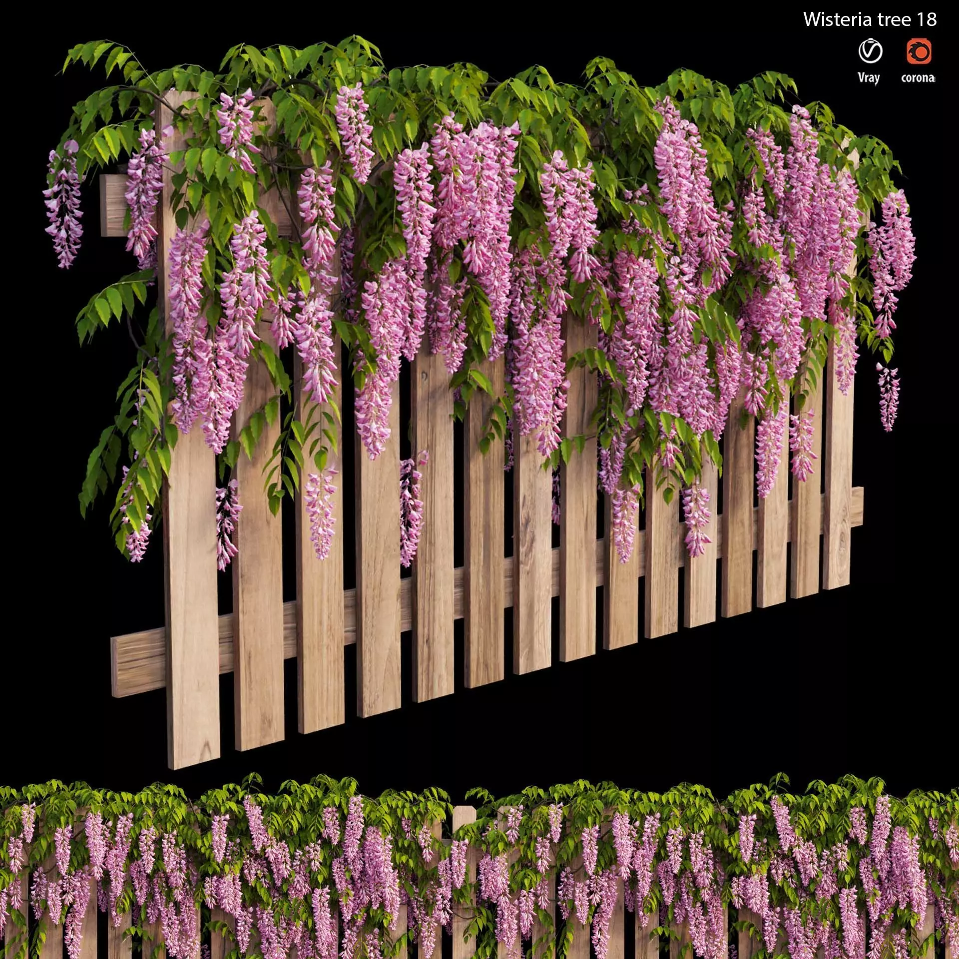 Wisterial tree 18 3D model