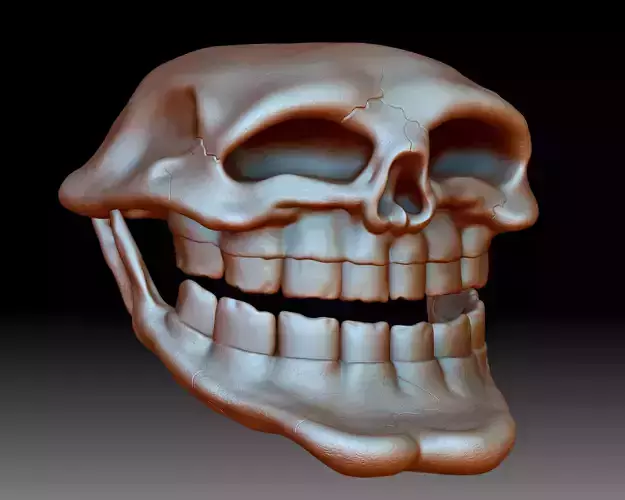Troll Face Skull 3D printable 3D print model