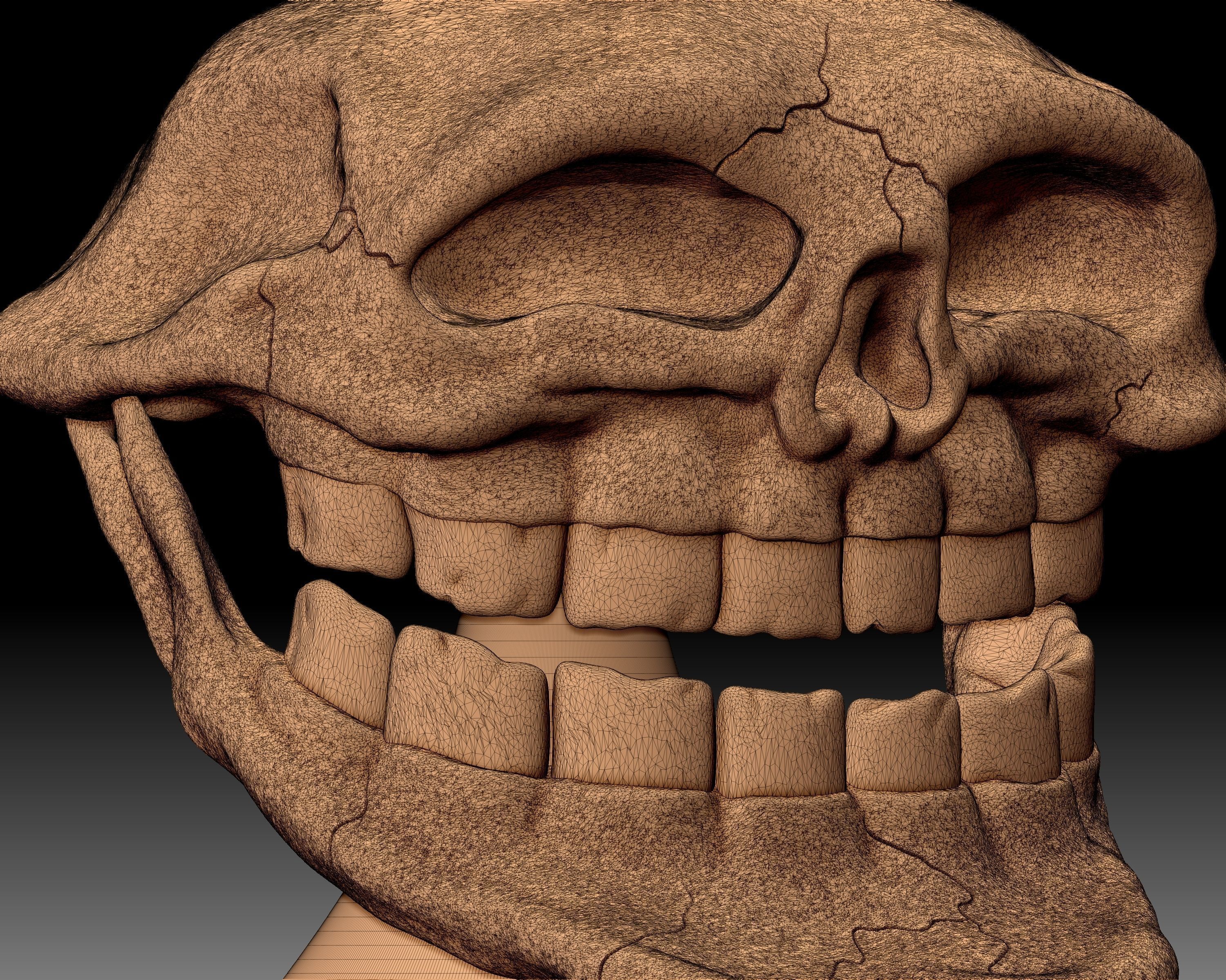 Troll Face Skull 3D printable 3D print model_6