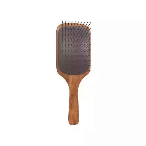 Hair Brush v1 001