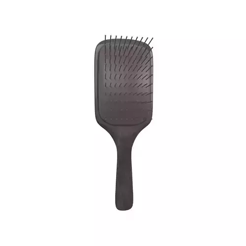 Hair Brush v1 002