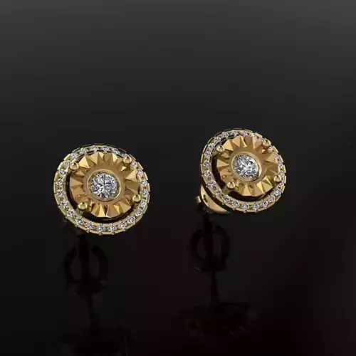 Earrings 16