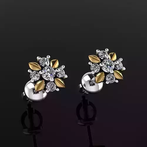 Earrings 19