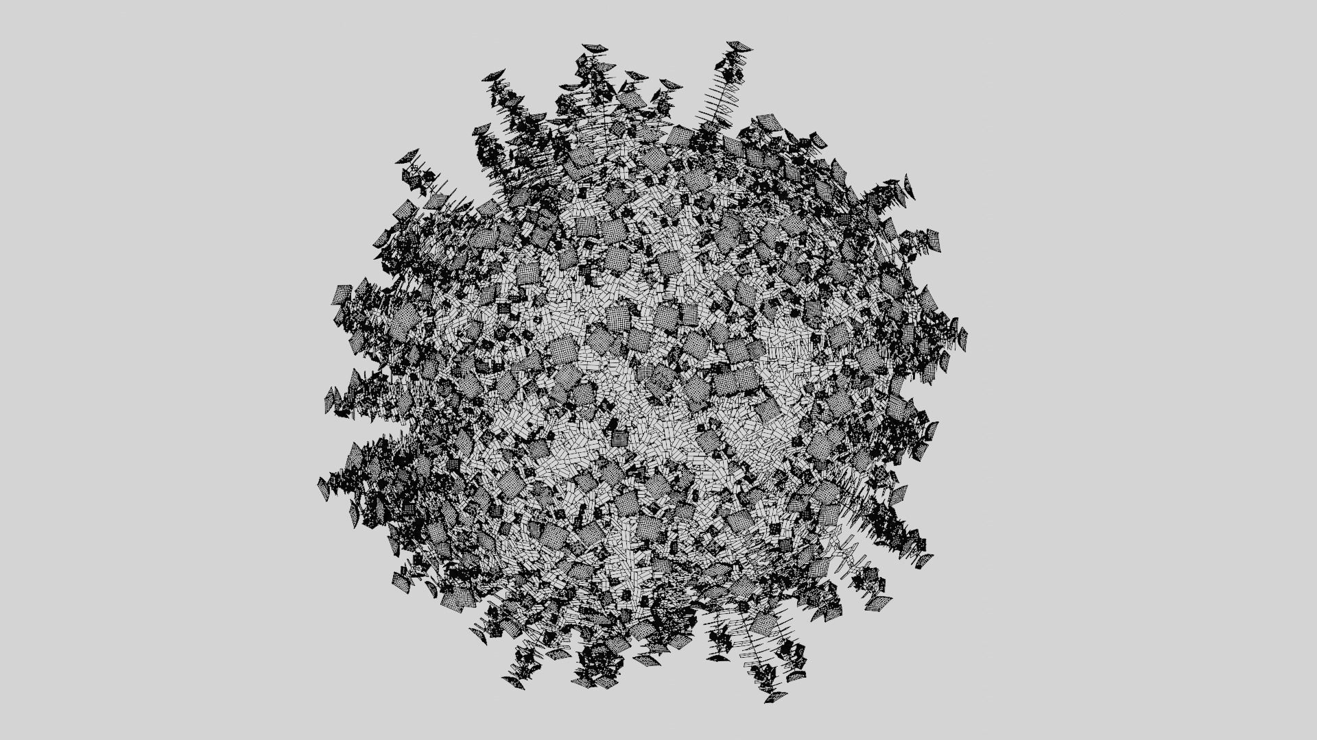 Hypericum Hidcote 3D model_7