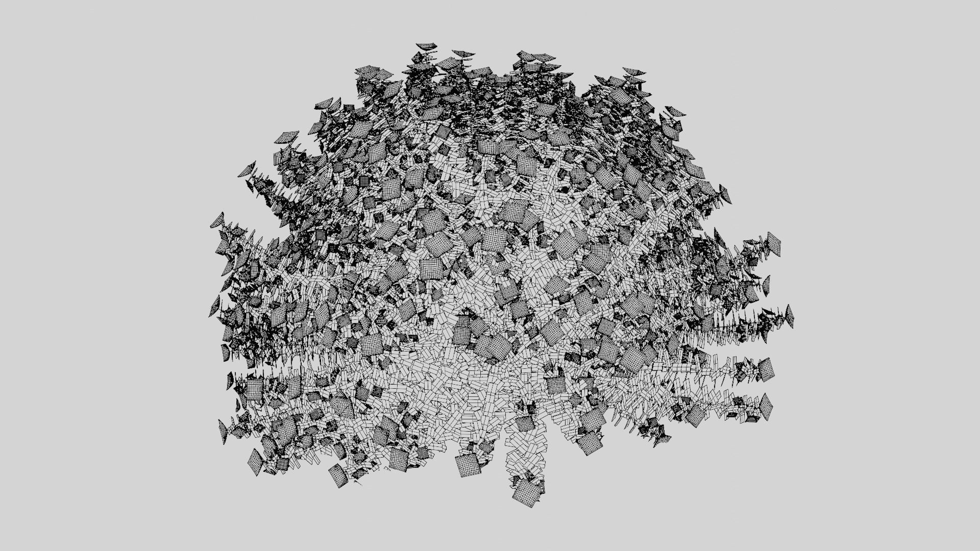 Hypericum Hidcote 3D model_6