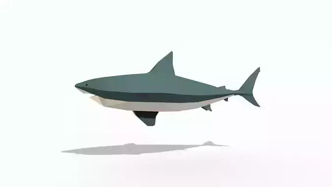 Low Poly Shark Free 3D model