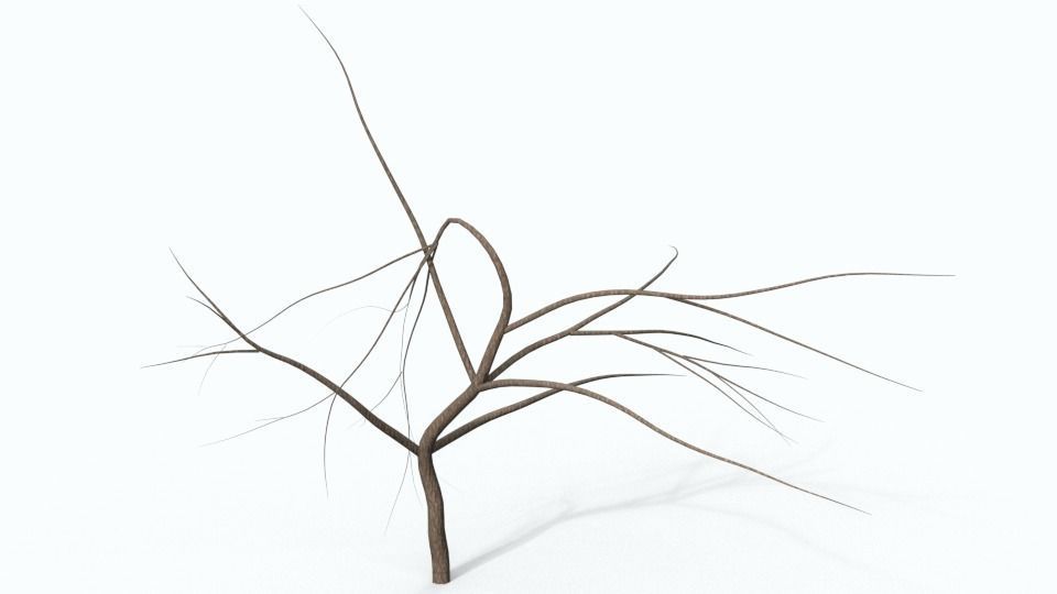Tree 1 with no leaves Free 3D model_1