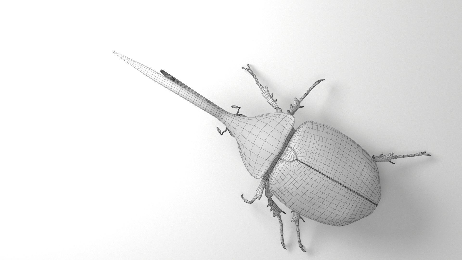 Hercules Beetle rigged for 3ds Max 3D model_3