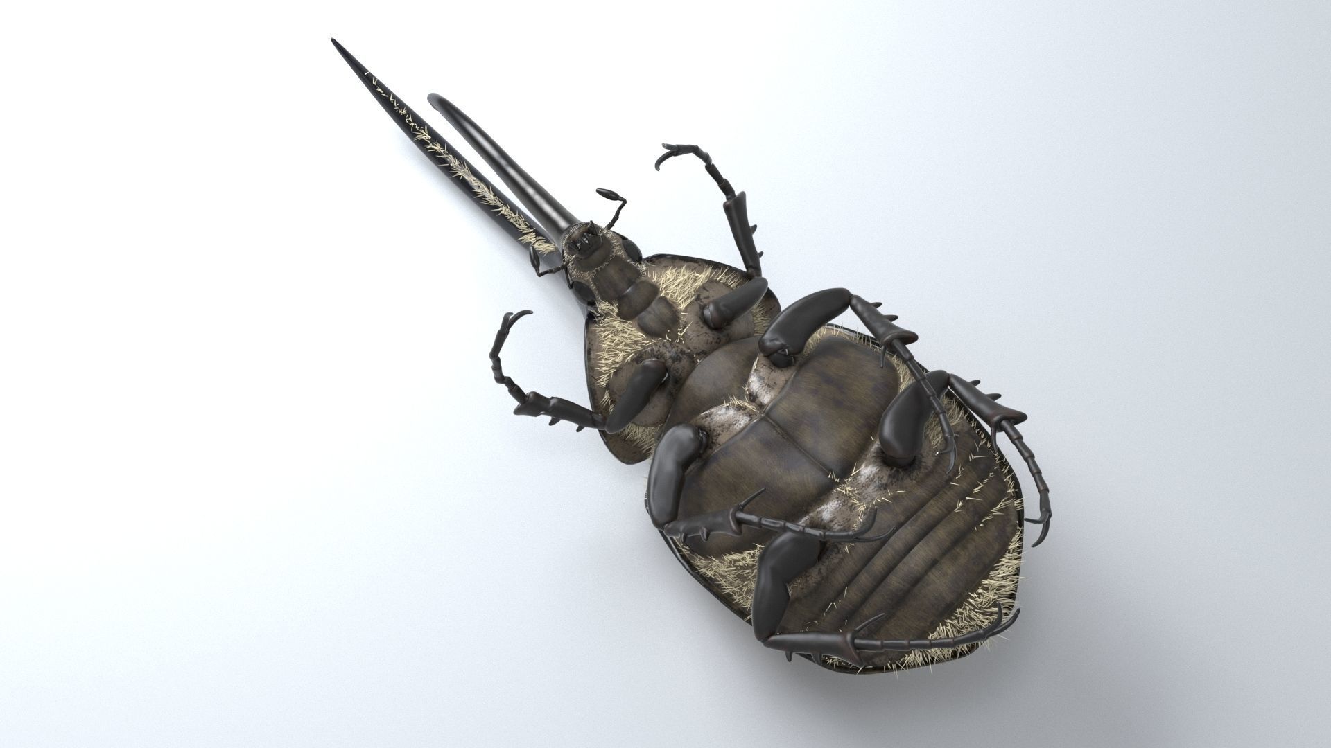Hercules Beetle rigged for 3ds Max 3D model_4