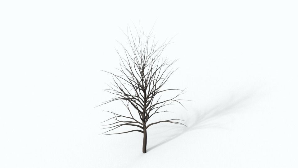 Tree 2 plant Free 3D model_2
