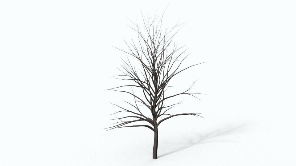 Tree 2 plant Free 3D model_1