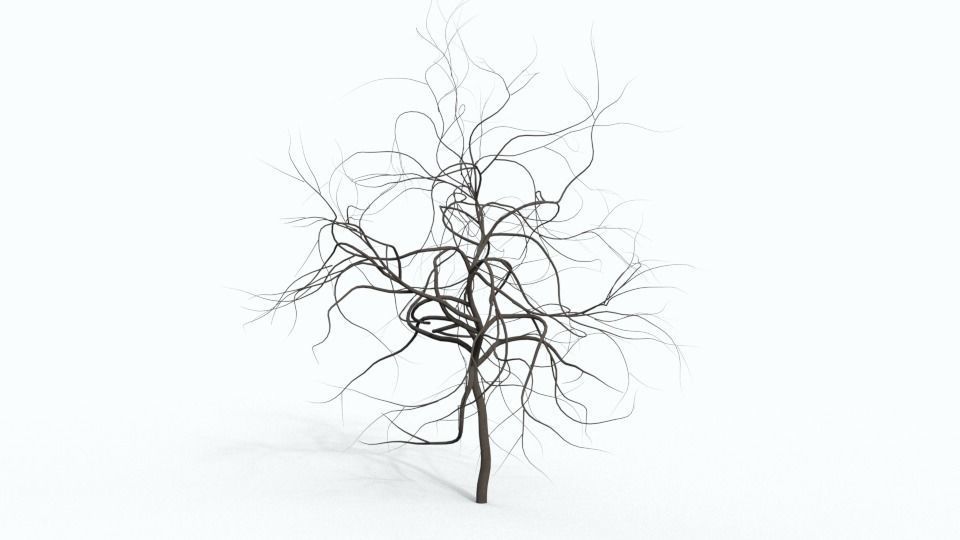 Tree 4 bare Free 3D model_4