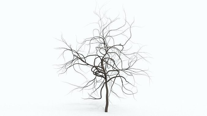 Tree 4 bare Free 3D model
