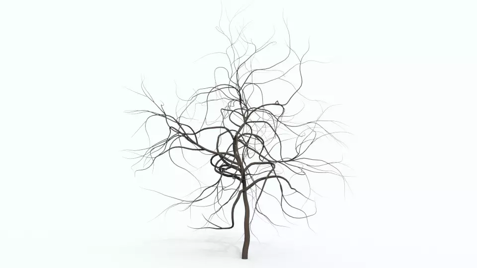 Tree 4 bare Free 3D model_0