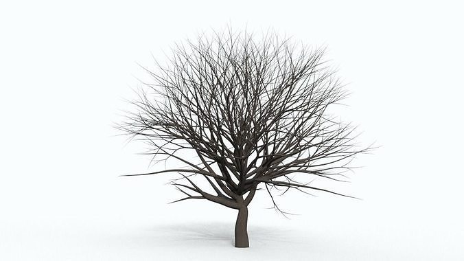 Tree 5 bare Free 3D model
