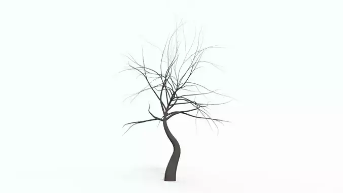 Tree 6 with no leaves