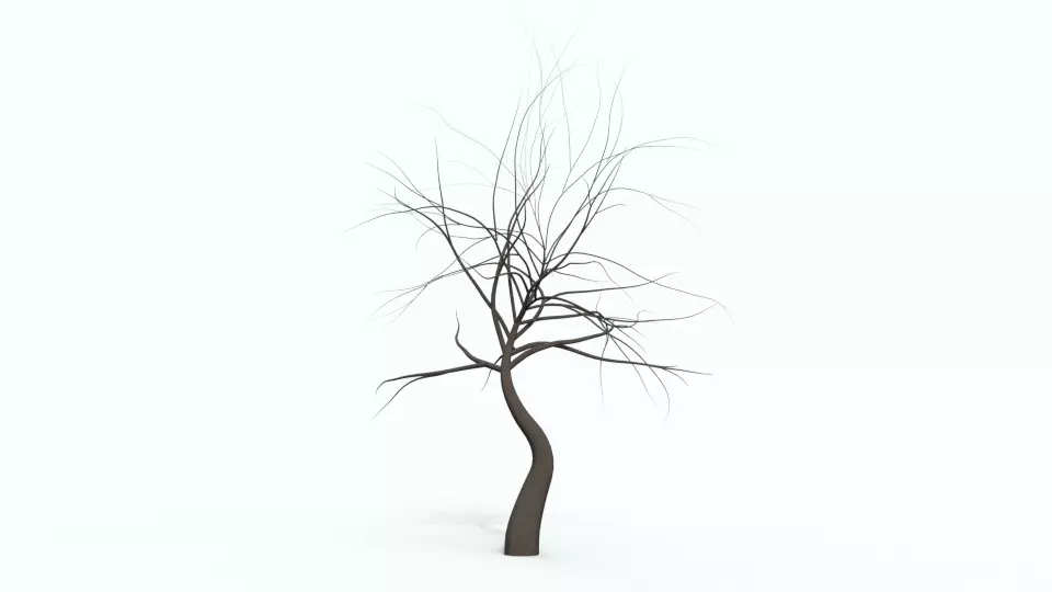 Tree 6 with no leaves Free 3D model_0