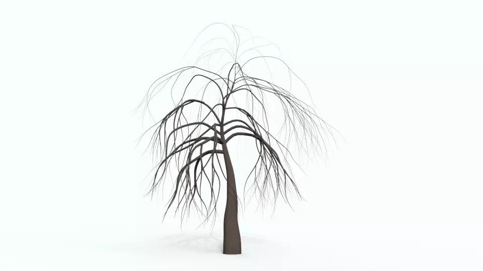 Tree 7 willow Free 3D model_0